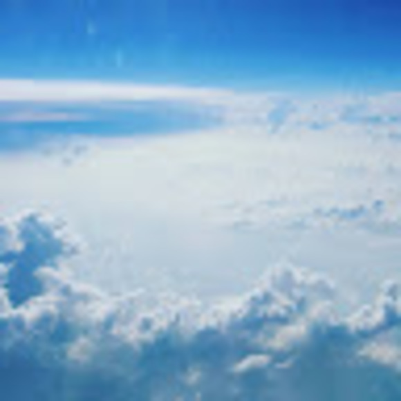 Meet your Posher, Jordyn - Picture 1 of 1